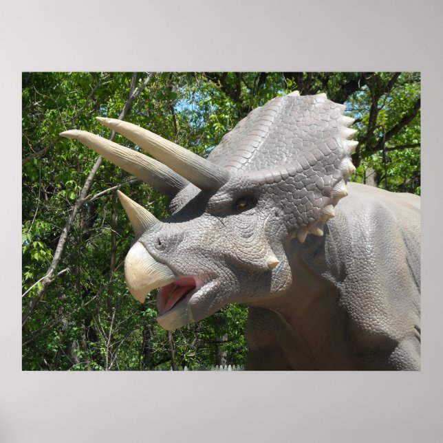 Dinosaur Triceratops Poster (Front)