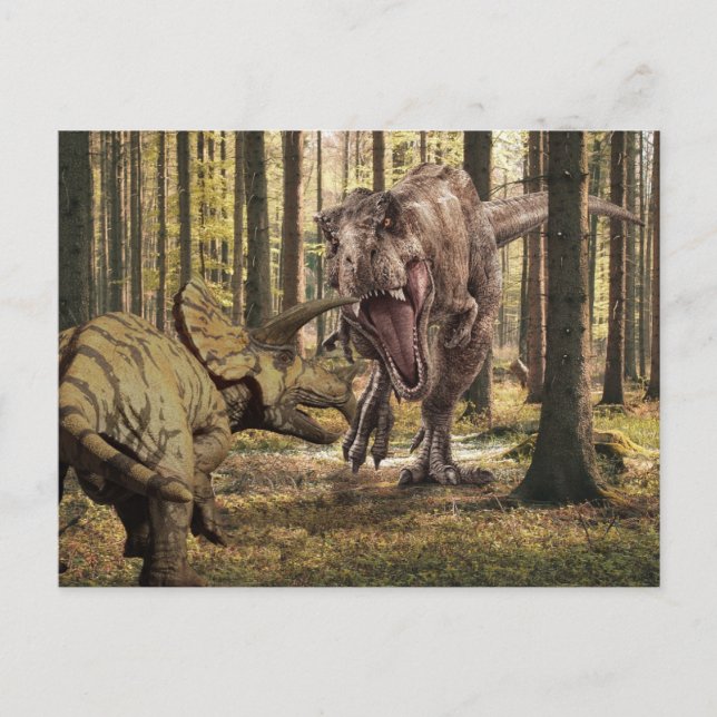 Dinosaur Tyrannosaurus Triceratops  Postcard (Front)