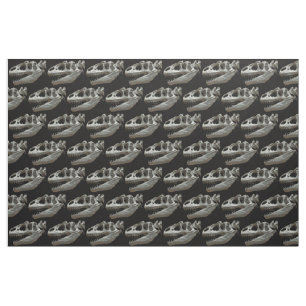 Dinosaure Tissu de squelette de tête