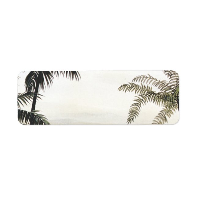 Dinosaures Vintage, Amargasaurus avec Palmiers (Devant)