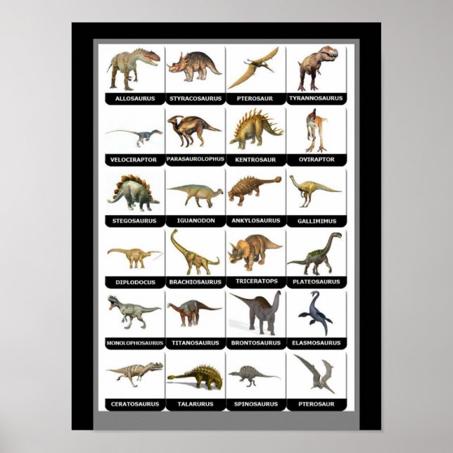 Dinosaurs Chart (Front)