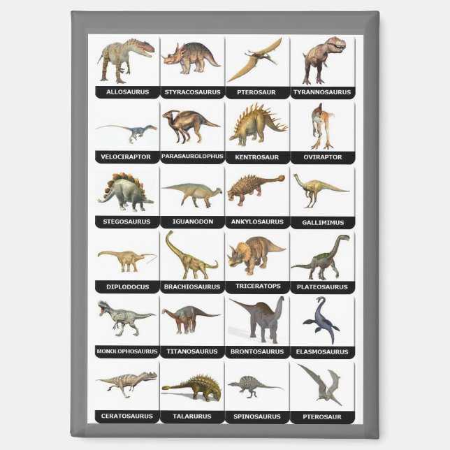 Dinosaurs chart list magnet (Front)
