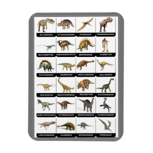 Dinosaurs Chart Magnet
