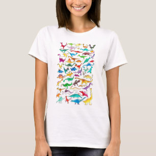 'Dinosaurs for beginners' Womens Fit Tee