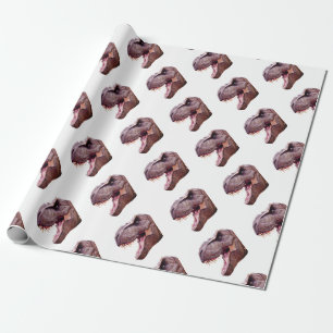 Dinosaurs T-Rex Wrapping Paper