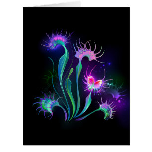 Dionaea piègeante lumineuse