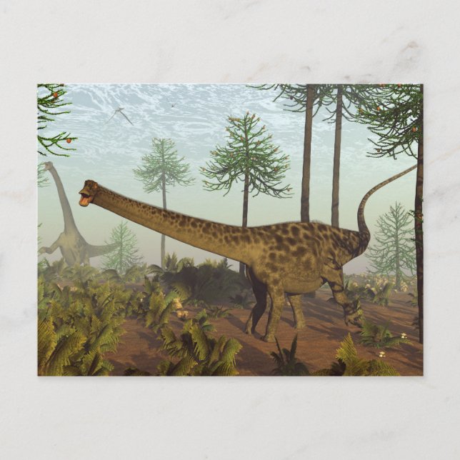 Diplodocus dinosaurs among araucaria trees - 3D re Postcard (Front)
