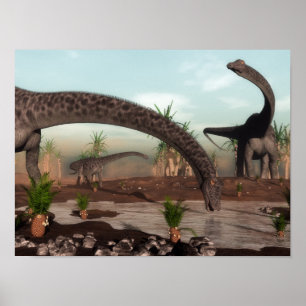 Diplodocus dinosaurs herd going to drink poster