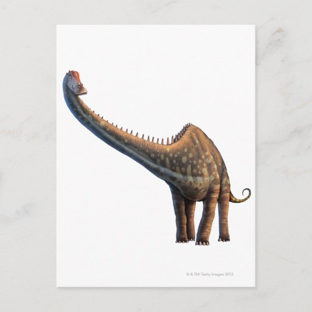 Diplodocus Postcard (Front)
