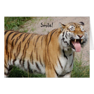 Dire la carte de tigre au fromage