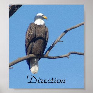 Direction Motivational Poster