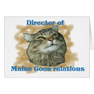 Director of Maine Coon relations
