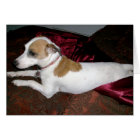 Dirigé vers la carte de menhaden