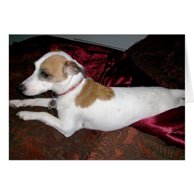 Dirigé vers la carte de menhaden (Devant horizontal)