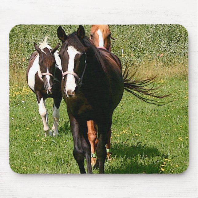 Diriger à la maison le tapis de souris (Devant)