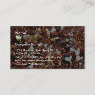 Dirt Plants Sprouts Seedlings Business Card