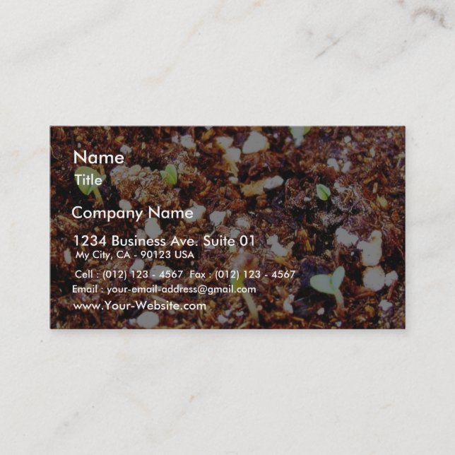 Dirt Plants Sprouts Seedlings Business Card (Front)