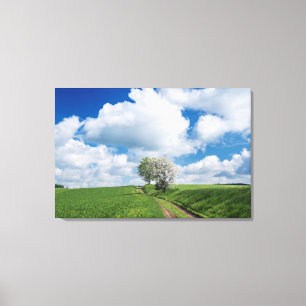 Dirt Road and Apple Trees Canvas Print