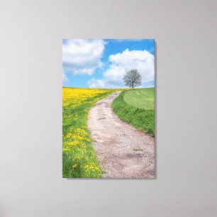 Dirt Road and Tree Canvas Print