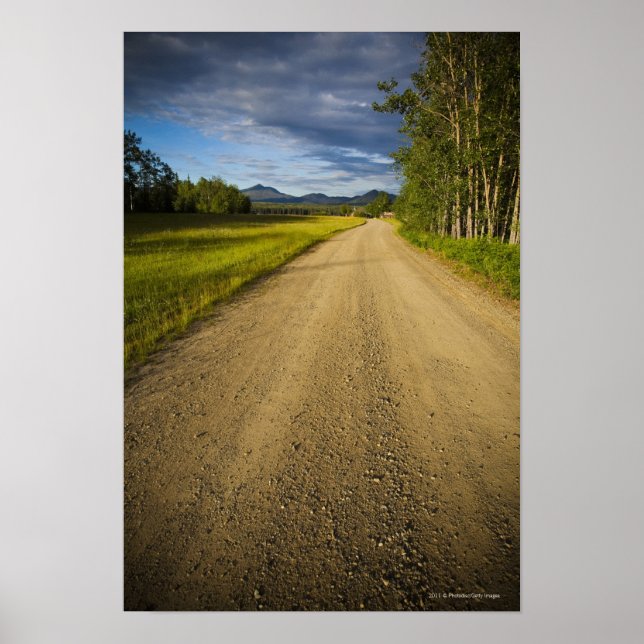 Dirt Road in Eagle, Alaska Poster (Front)