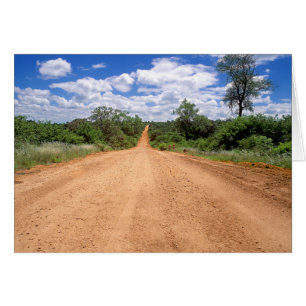 Dirt Road, Kruger National Park, Mpumalanga