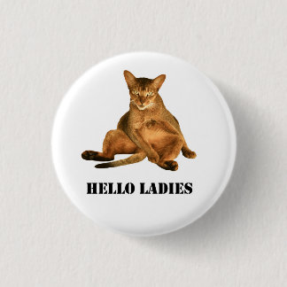 Dirty cat pinback button