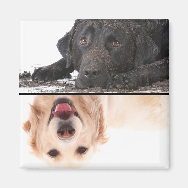 Dirty Chien Clean Dog Lave-vaisselle Magnet (Devant)