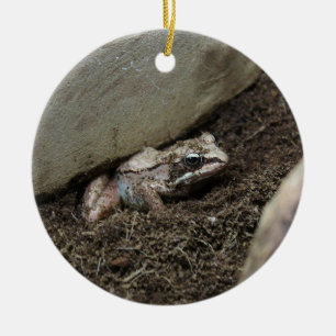 Dirty Frog Ceramic Ornament