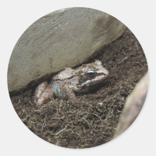 Dirty Frog Classic Round Sticker