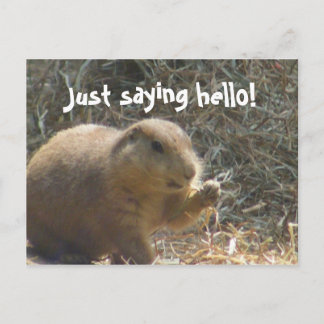 Dis bonjour ! Carte postale de chien des Prairies