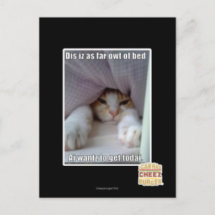 Dis iz as far owt of bed.. postcard