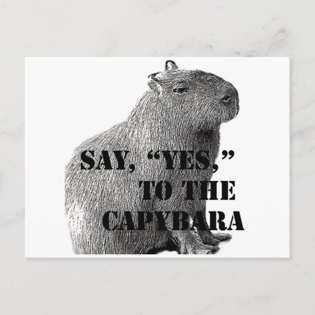 Dis, "Oui," à la carte postale du capybara (Devant)