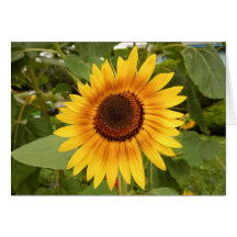 Disability Pride Blank Sunflower Card