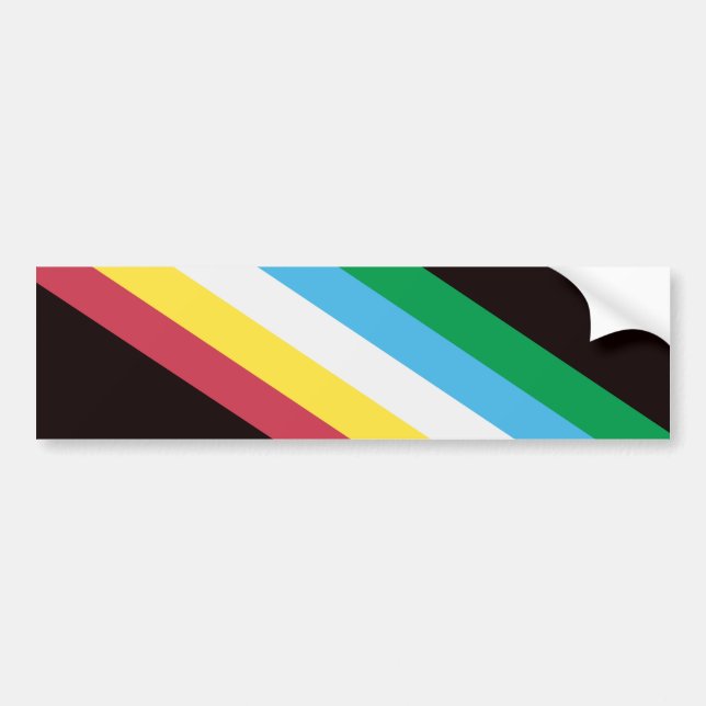 Disability Pride Bumper Sticker (Front)