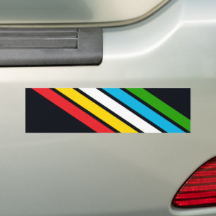 Disability pride flag bumper sticker