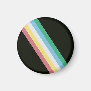 Disability Pride Flag Magnet