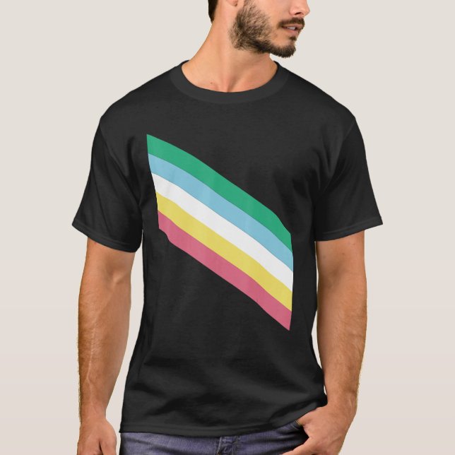 Disability Pride Flag T-Shirt (Front)