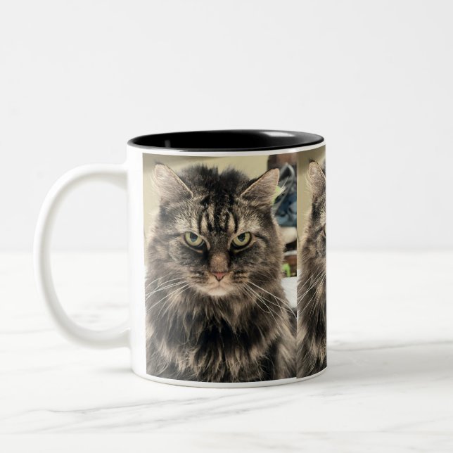 Disappointed Cat Two-Tone Coffee Mug (Left)