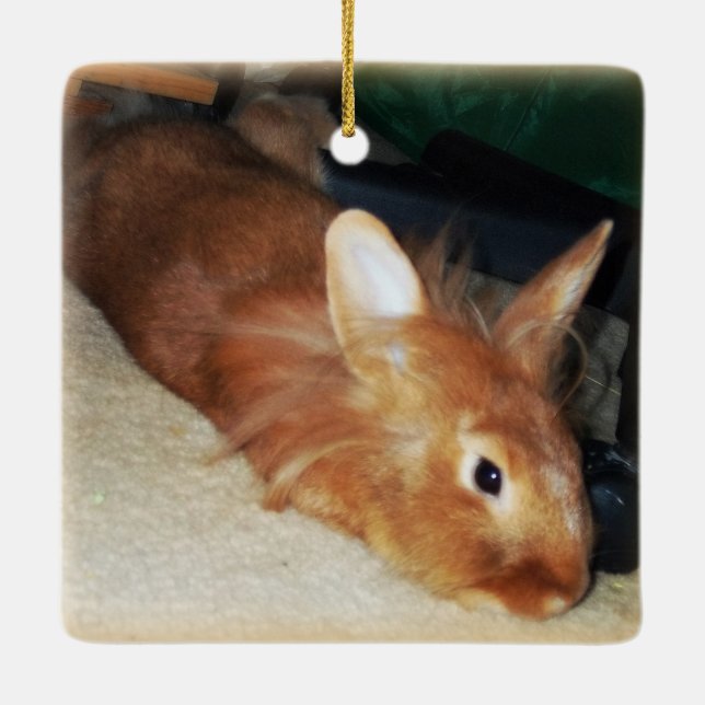 Disapproving Bunny Rabbit Ornament (Back)