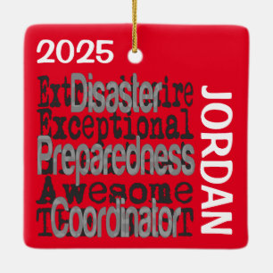 Disaster Preparedness Coordinator Extraordinaire Ceramic Ornament