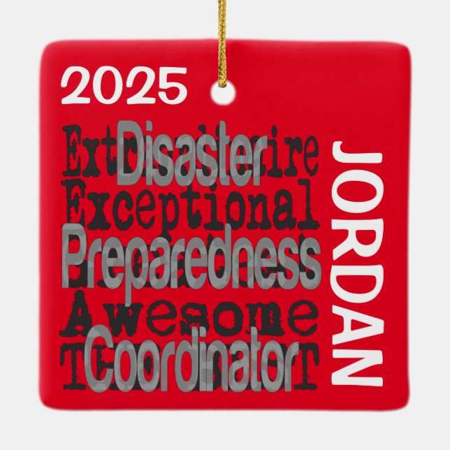 Disaster Preparedness Coordinator Extraordinaire Ceramic Ornament (Back)
