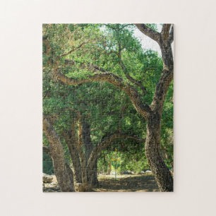 Disc Golf Course Nature Puzzle