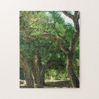 Disc Golf Course Nature Puzzle