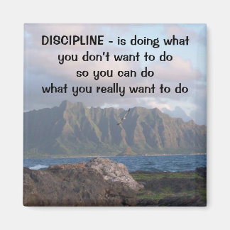 Discipline Magnet