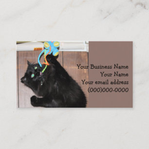Disco Business Card