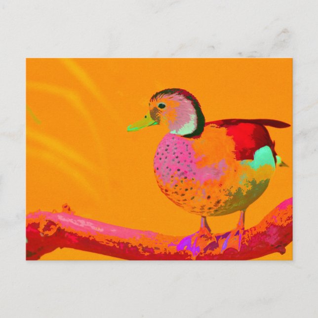 Disco Duck Postcard (Front)