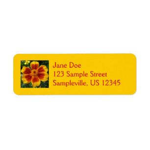 Disco Marigold Orange et Rouge Fleur d'été