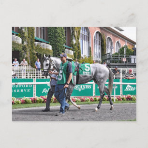 Disco Partner Postcard