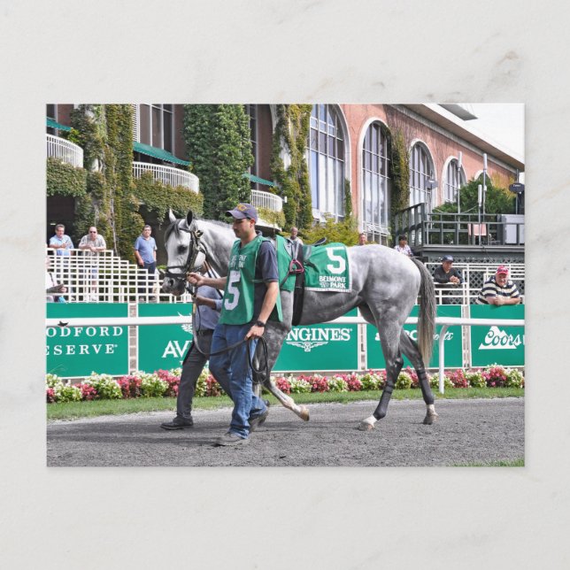 Disco Partner Postcard (Front)