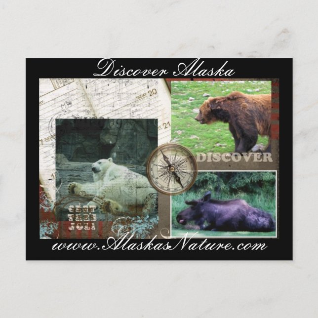 Discover Alaska Postcard (Front)